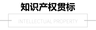 知识产权