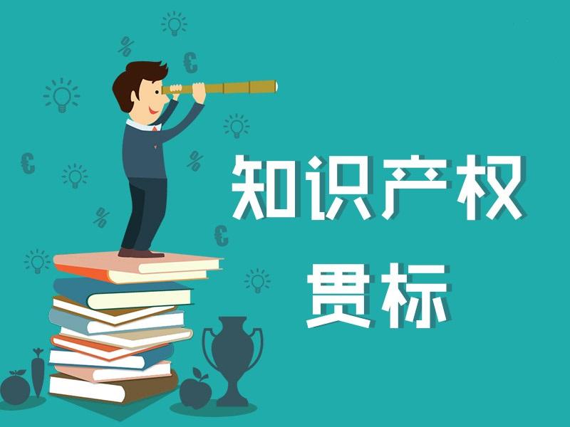 贯标1