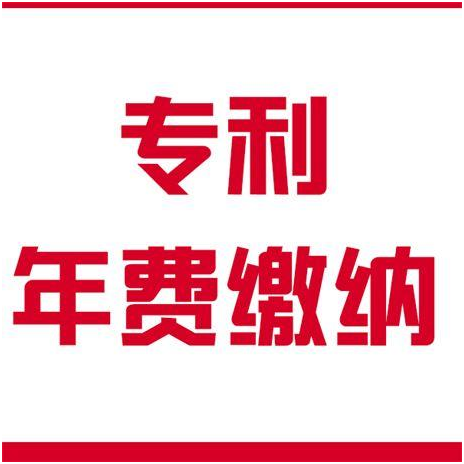 如何计算专利年费滞纳金，年费的缴纳标准是多少？