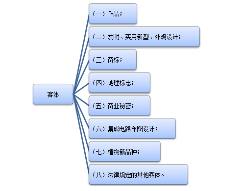 知识产权客体