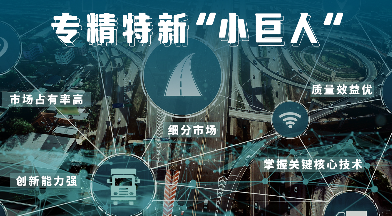 2025年专精特新“小巨人”申报指南：条件、流程与政策红利全解析