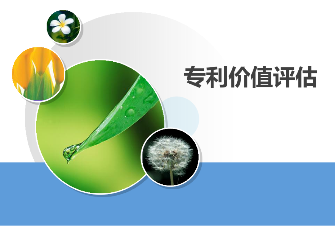 专利评价报告请求：企业创新保护的“体检报告”